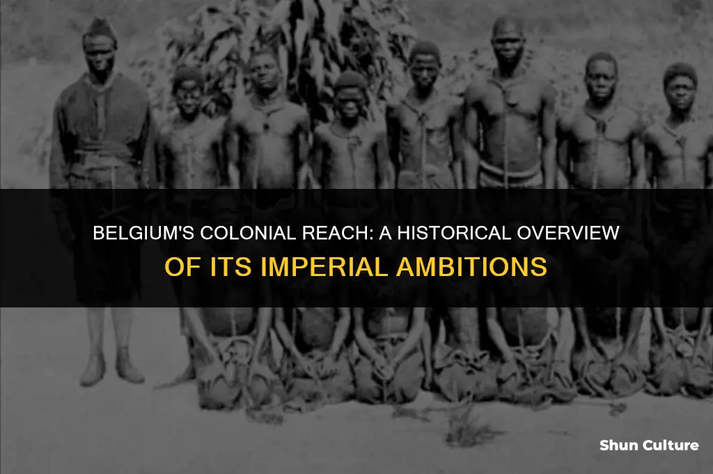 where did belgium imperialize