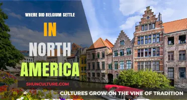 Exploring Belgium's Colonial Legacy in North America: A Historical Journey