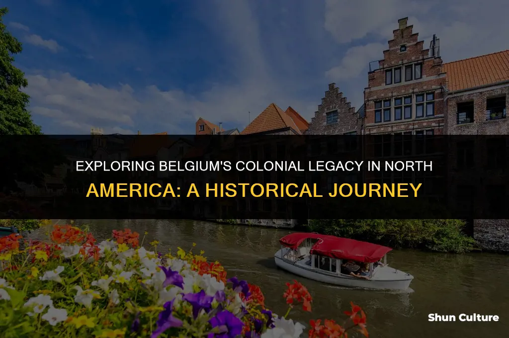 where did belgium settle in north america