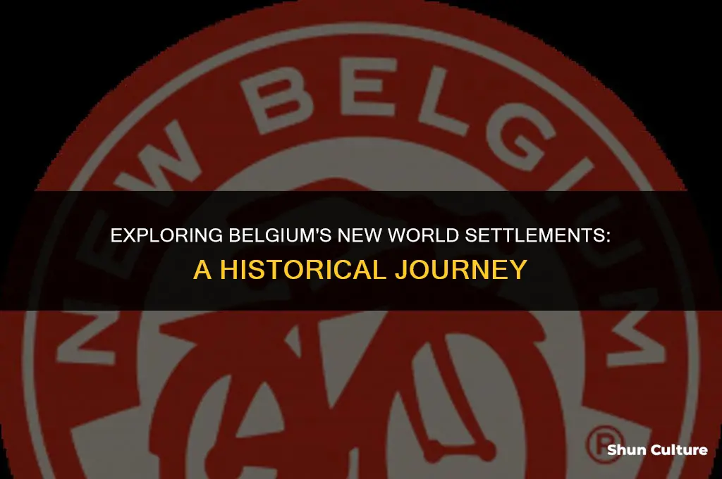 where did belgium settle in the new world