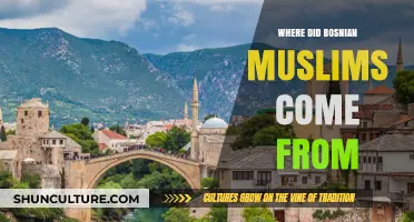 Origins of Bosnian Muslims: A Historical and Cultural Journey