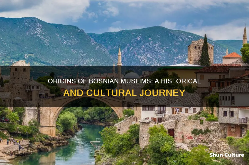 where did bosnian muslims come from