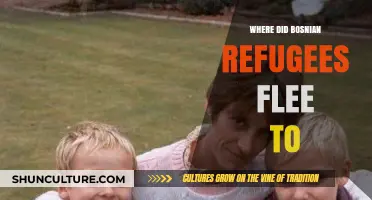 Bosnian Refugees: Global Destinations During the 1990s Conflict and War