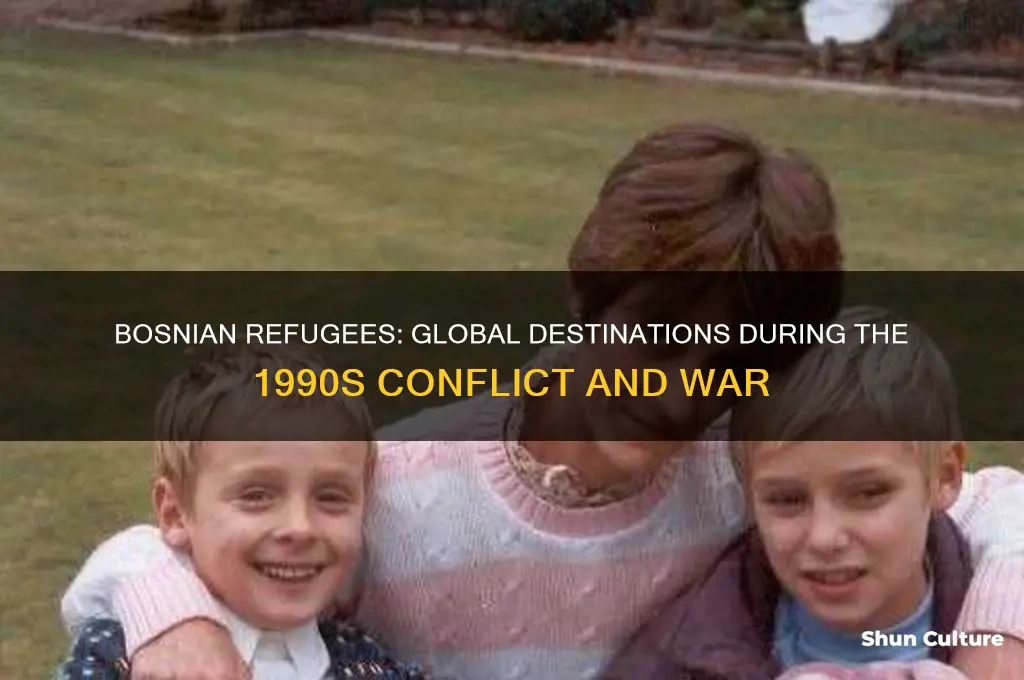where did bosnian refugees flee to