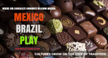Unraveling Chocolate's Origins: A Journey Through Belgium, Nigeria, Mexico, and Brazil