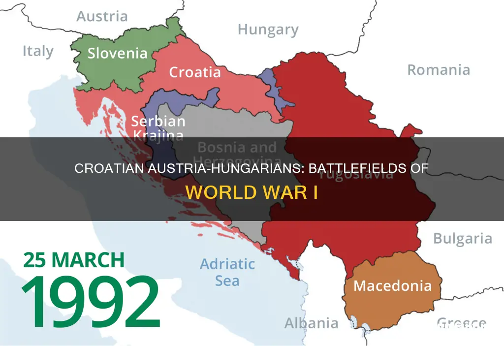 where did croatian austria-hungarians fight in wwi