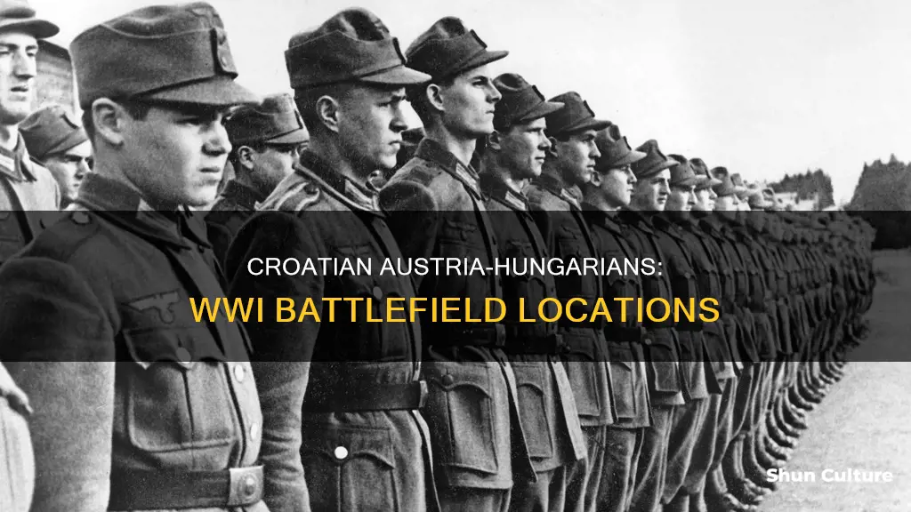 where did croatian austria-hungarians fight in wwi