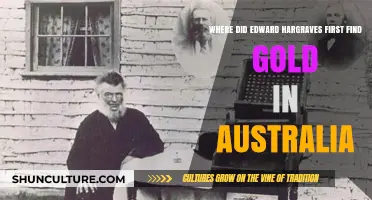 Edward Hargraves' Historic Gold Discovery in Australia: The Location Revealed