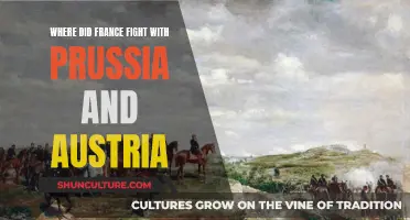 France's Battles: Prussia and Austria's War Zones