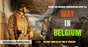 Operation Market Garden: German Paratroopers' Bold Advance in Belgium