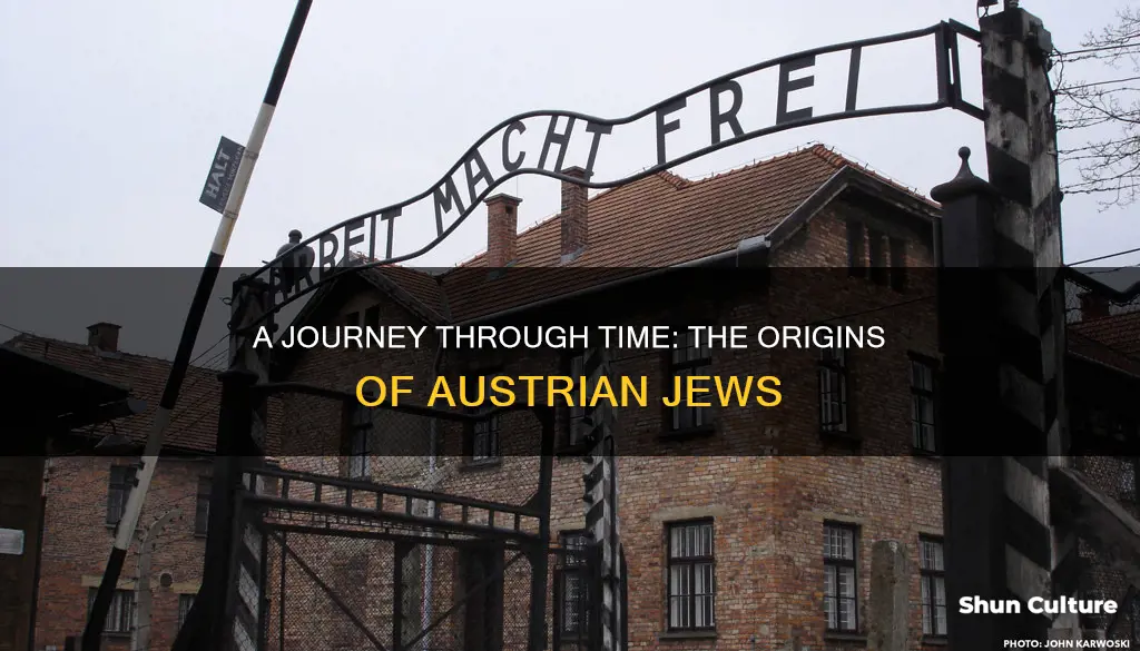 where did jews in austria come from