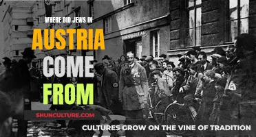 The Jewish Migration to Austria: A Historical Overview