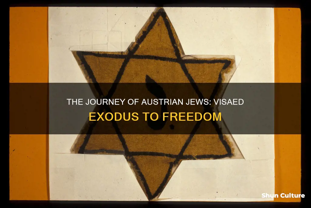 where did jews with visas go from austria