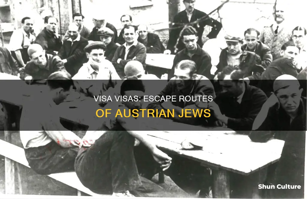 where did jews with visas go from austria