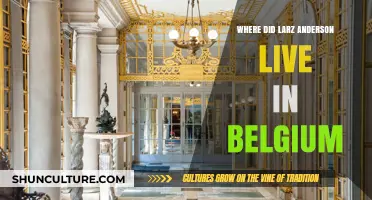 Exploring Larz Anderson's Belgian Residence: A Historical Journey