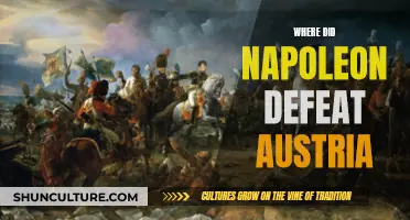 Napoleon's Triumph Over Austria: Where Did It Happen?