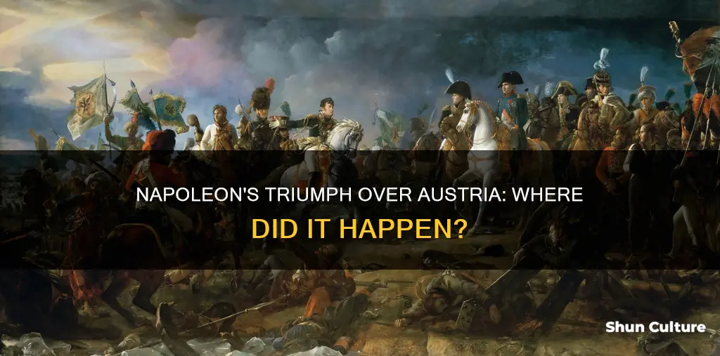 where did napoleon defeat austria