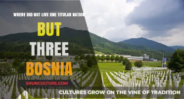 Bosnia's Complex Identity: Three Titular Nations, One Shared History