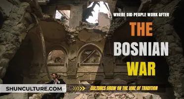 Post-War Bosnia: Rebuilding Careers and Communities After the Conflict