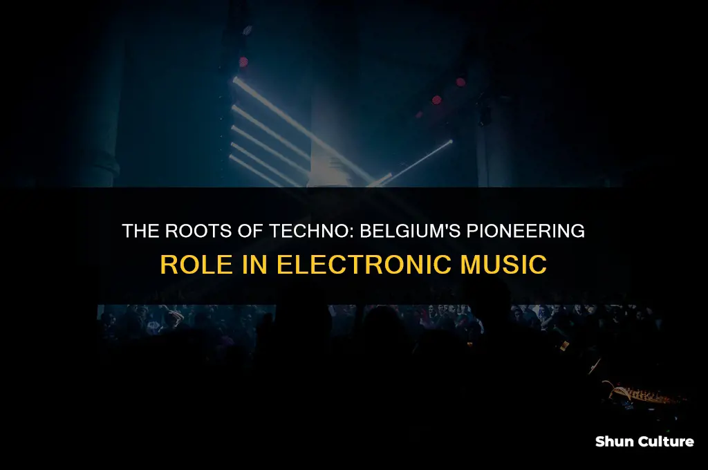 where did techno originate in belgium