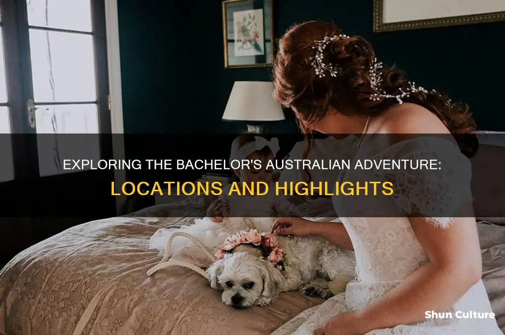 where did the bachelor go in australia