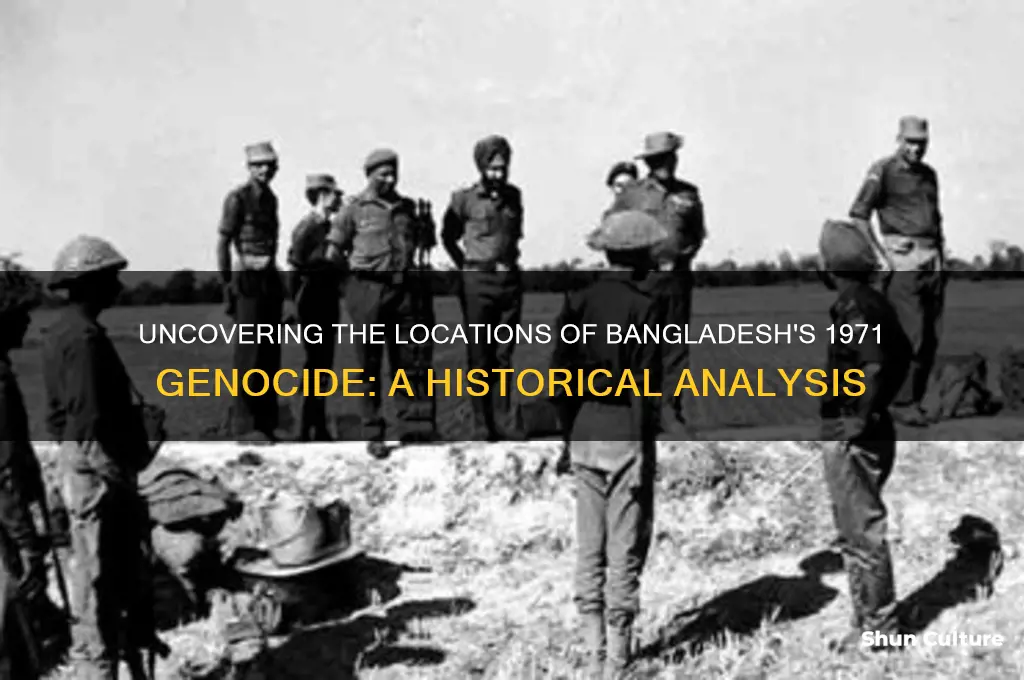 where did the bangladesh genocide take place