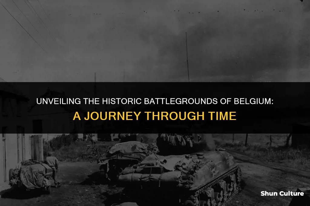 where did the battle of belgium take place