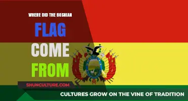Origins of the Bosnian Flag: History, Design, and Cultural Significance