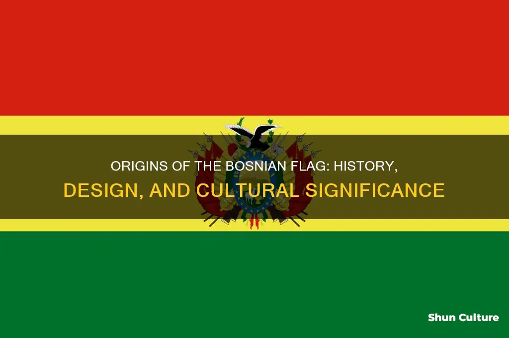 where did the bosnian flag come from