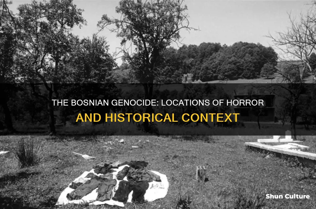 where did the bosnian gecide take place
