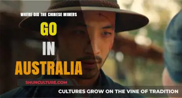 Tracing the Lost Footsteps: Chinese Miners' Disappearance in Australia