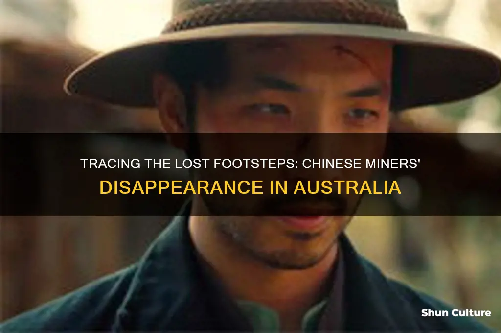 where did the chinese miners go in australia