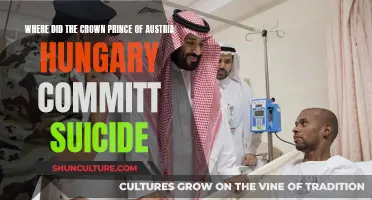 The Mysterious Suicide of Crown Prince: Unraveling the Mystery