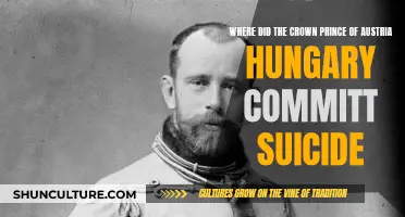 The Tragic End of Austria-Hungary's Crown Prince