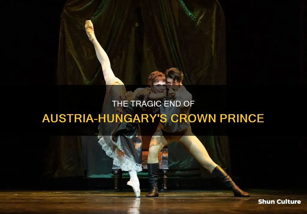 where did the crown prince of austria hungary committ suicide