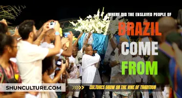 Origins of Enslavement: Tracing Brazil's African Diaspora and Ancestral Roots