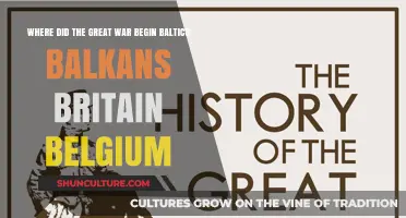 Origins of the Great War: A Journey Through Baltics, Balkans, Britain, and Belgium
