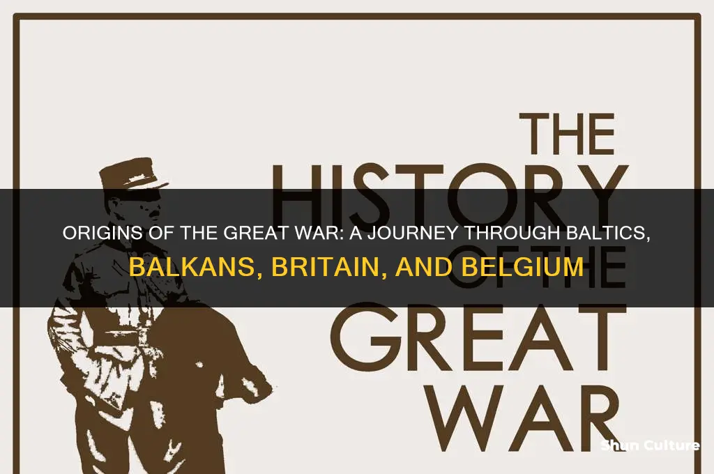 where did the great war begin baltics balkans britain belgium
