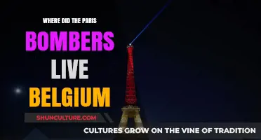 Unraveling the Paris Bombers' Belgian Connection: A Detailed Exploration