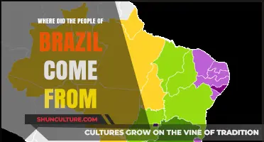 Origins of Brazil's Population: A Journey Through History and Migration