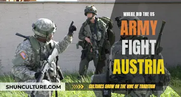 US Army's Austrian Battlefields: A Historical Conflict Overview