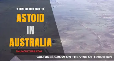 Asteroids Down Under: Australian Discovery