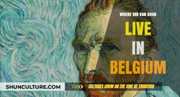 Exploring Van Gogh's Belgian Abode: A Journey Through His Life