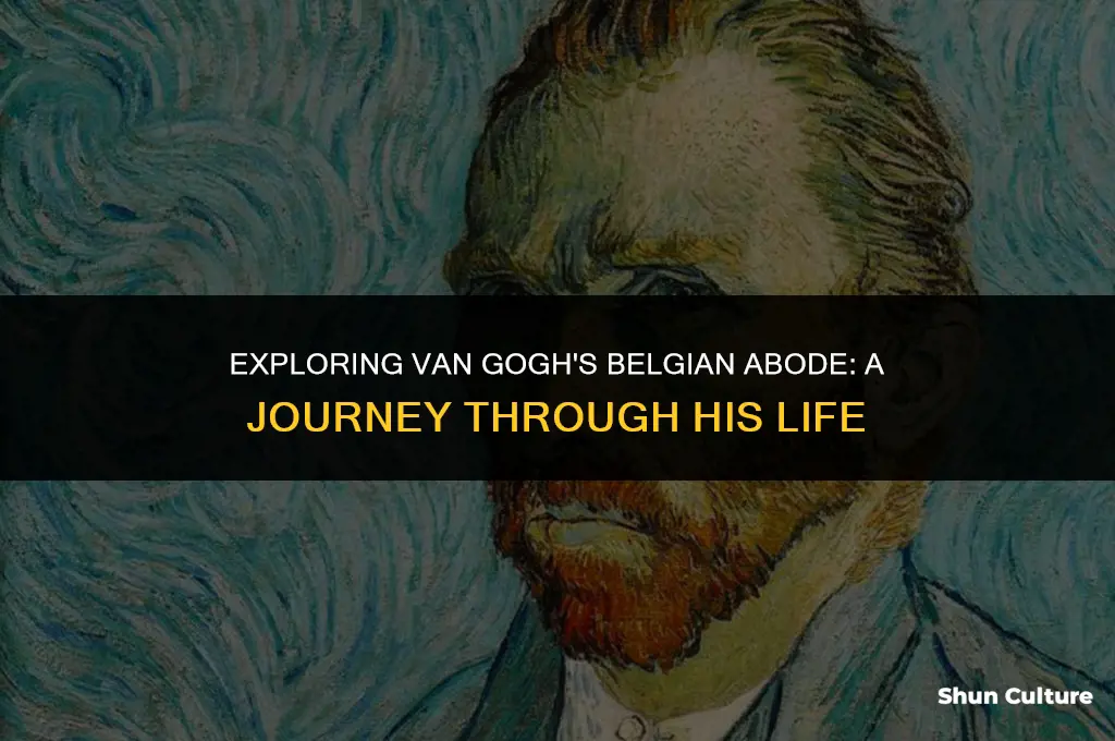 where did van gogh live in belgium