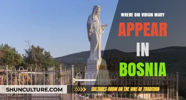 Virgin Mary's Mystical Apparitions in Bosnia: Unveiling the Sacred Sites