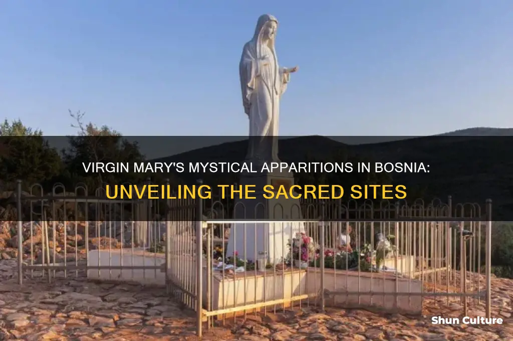 where did virgin mary appear in bosnia