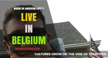 Discovering Belgium: Top Destinations for American Expats