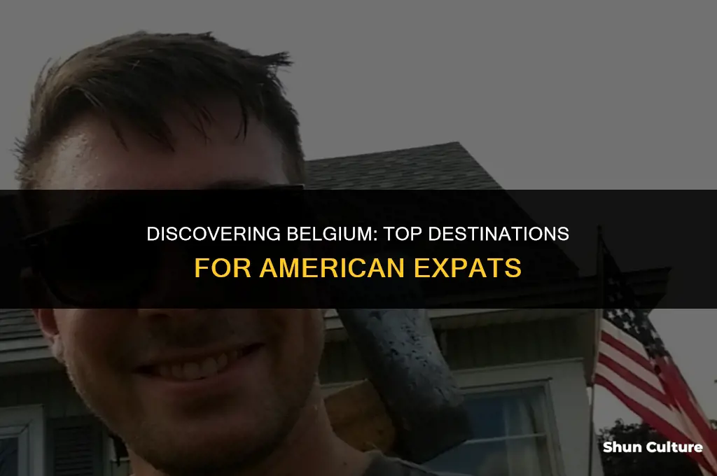 where do american expats live in belgium