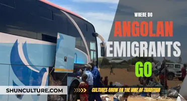 Angolan Emigrants: Top Destinations and Reasons Why