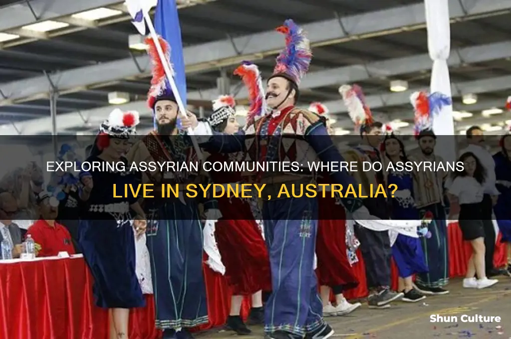 where do assyrians live in sydney australia